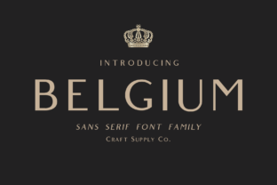 Belgium Family and the Cultural Tapestry of European Heritage