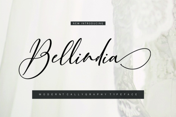 Bellindia: A Practical Guide to Making the Right Choices