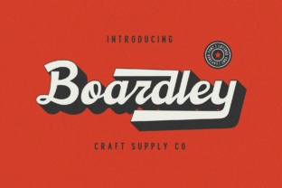 Boardley Script: A Versatile Tool for Creative and Professional Expression