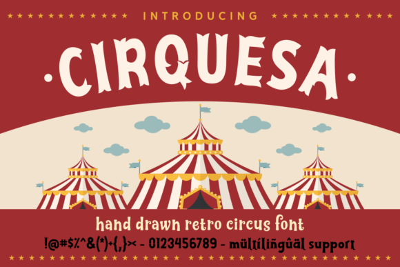 Cirquesa: A Strategic Tool for Better Decision-Making and Results