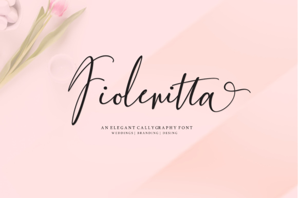 Fiolenitta: Creative Potential Unleashed