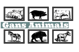 Gans Animals: A Bold, Playful Typeface