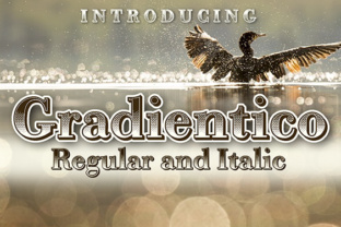 Gradientico: A Comprehensive Evaluation for Modern Users
