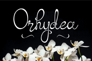 Orhydea: A Modern Serif with Timeless Charm