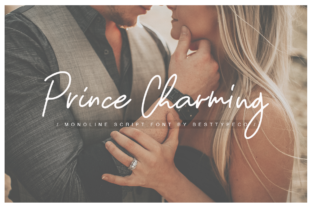 Prince Charming: A Creative Lens