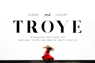 Troye Trio: A Practical Guide for Real-World Use