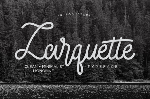 Understanding Larquette: A Practical Guide for Real-World Solutions